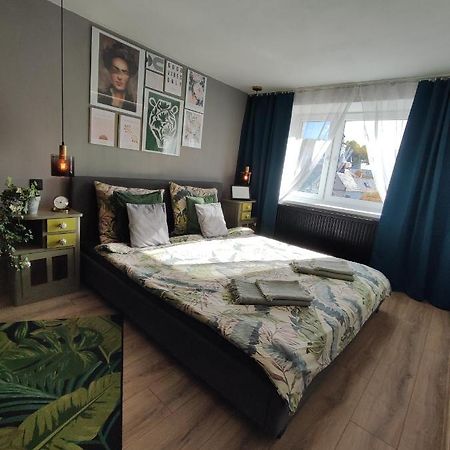Dian Feelhome Banska Bela Dış mekan fotoğraf