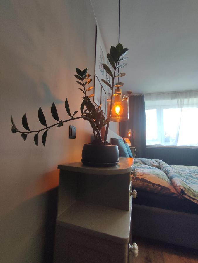 Dian Feelhome Banska Bela Dış mekan fotoğraf
