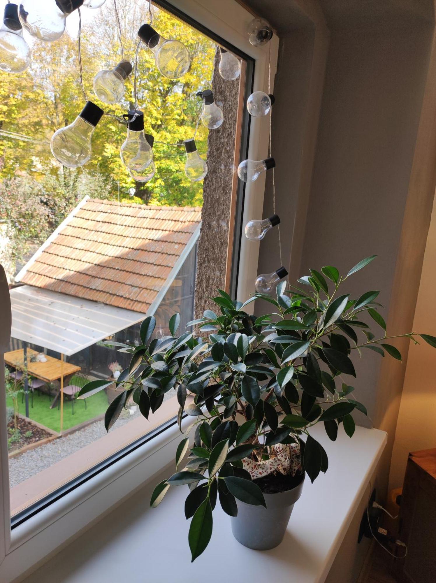 Dian Feelhome Banska Bela Dış mekan fotoğraf
